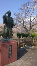 桜咲く咲く！